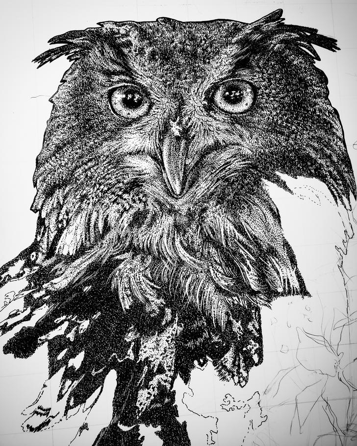 728x910 My Owl Ink Drawing Upmitter - Owl Ink Drawing