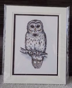 248x300 Original Peniroink Drawing, Owl Art With Mount, X Ebay - Owl Ink Drawing