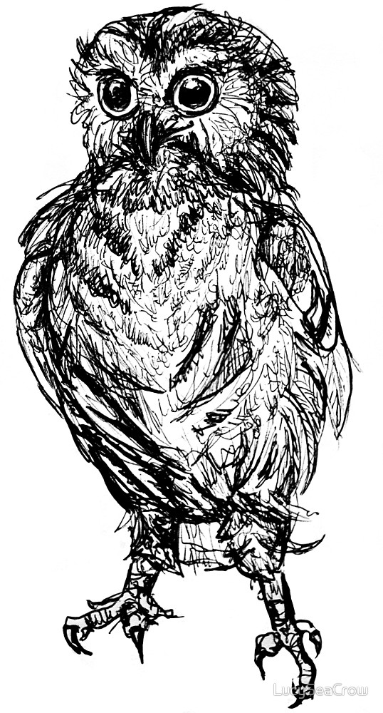 538x1000 Owl, Ink Drawing - Owl Ink Drawing