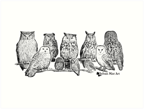 549x413 Owls - Owl Ink Drawing