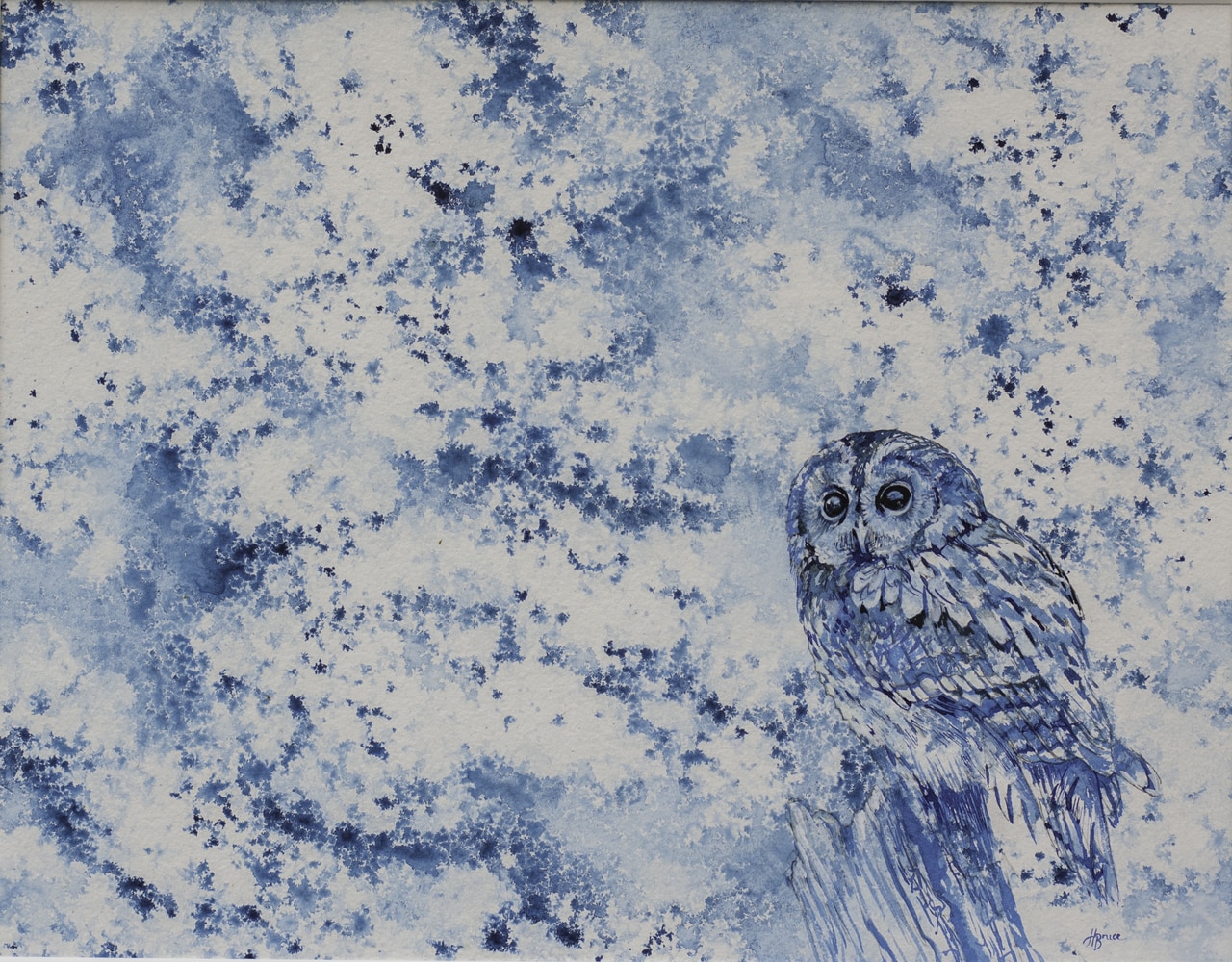 1280x1000 Tawny Owl In Blue - Owl Ink Drawing