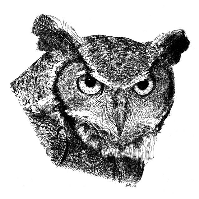 640x640 great horned owl my drawings ink art, horned owl, ink - Owl Ink Drawing