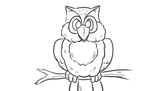 550x309 How To Draw An Owl Steps - Owl Line Drawing