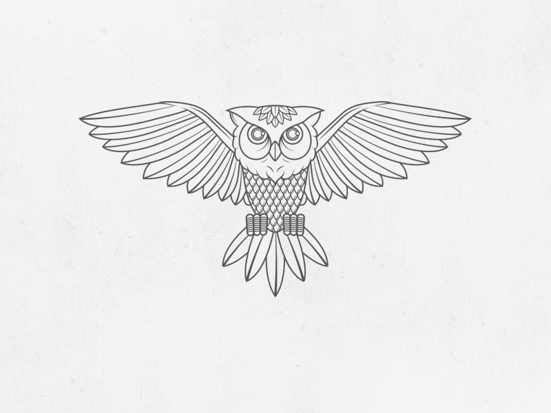 800x600 Owl Line Illustration - Owl Line Drawing