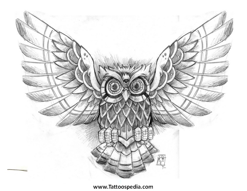 843x650 Owl Tattoo Line Drawing - Owl Line Drawing