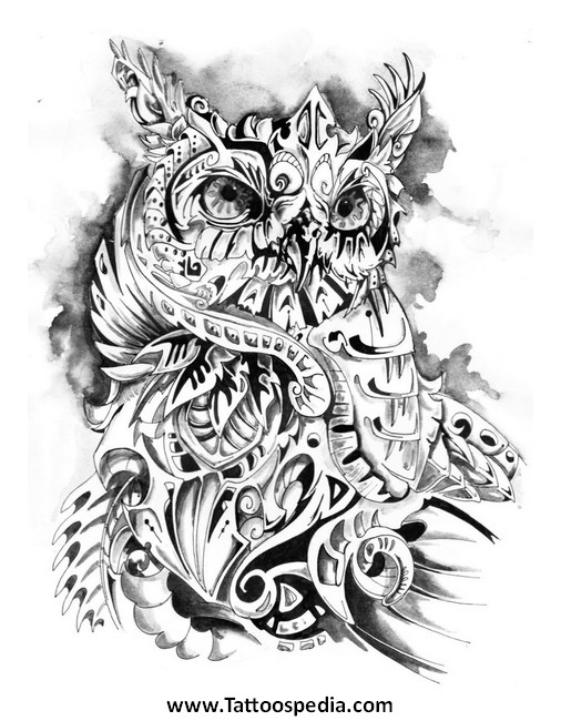 Owl Line Drawing at PaintingValley.com | Explore collection of Owl Line ...