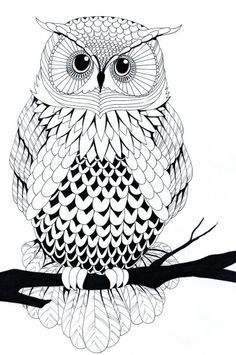236x355 Black And White Artwork Owl Coloring Pages - Owl Line Drawing