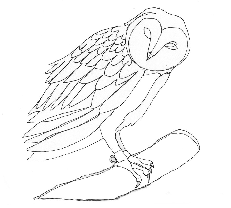 900x812 Owl Drawing - Owl Line Drawing