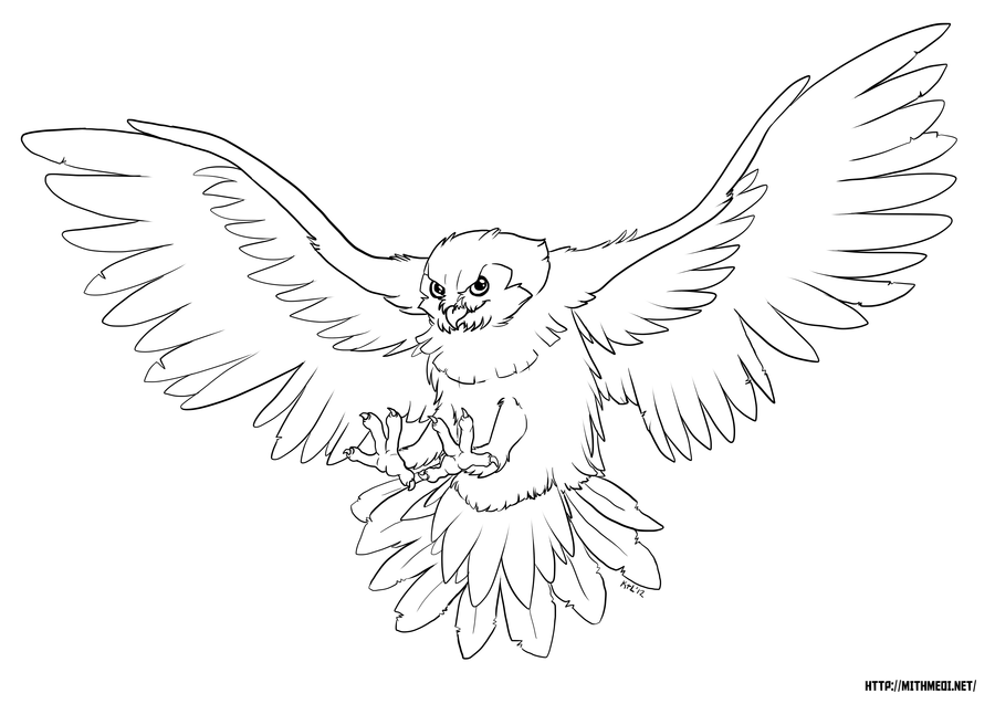 900x637 Flying Owl Line Drawing - Owl Line Drawing