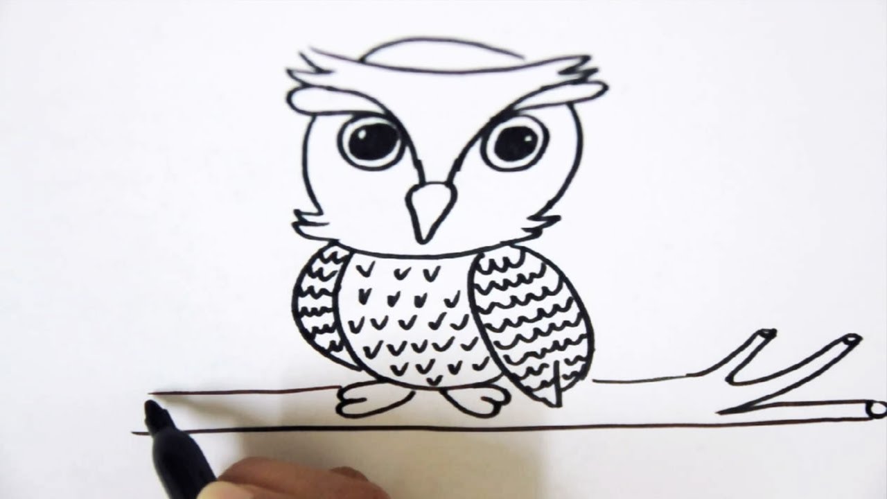 1280x720 how to draw an owl on a branch step - Owl On A Branch Drawing