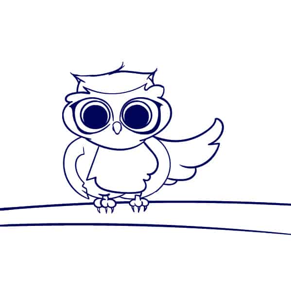 599x599 Learn How To Draw An Owl - Owl On A Branch Drawing