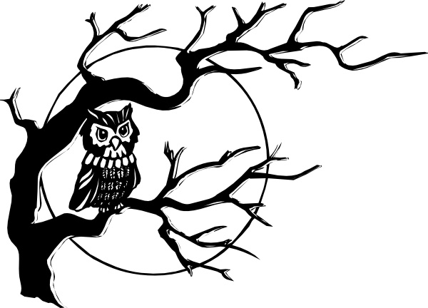 600x432 owl on tree branch clip art free vector in open office drawing - Owl On A Branch Drawing