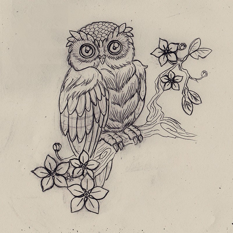800x800 within owl on branch drawing - Owl On A Branch Drawing