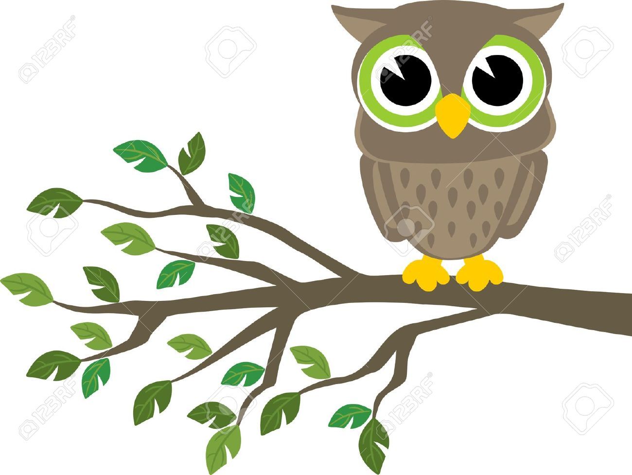 Owl On A Branch Drawing at Explore collection of