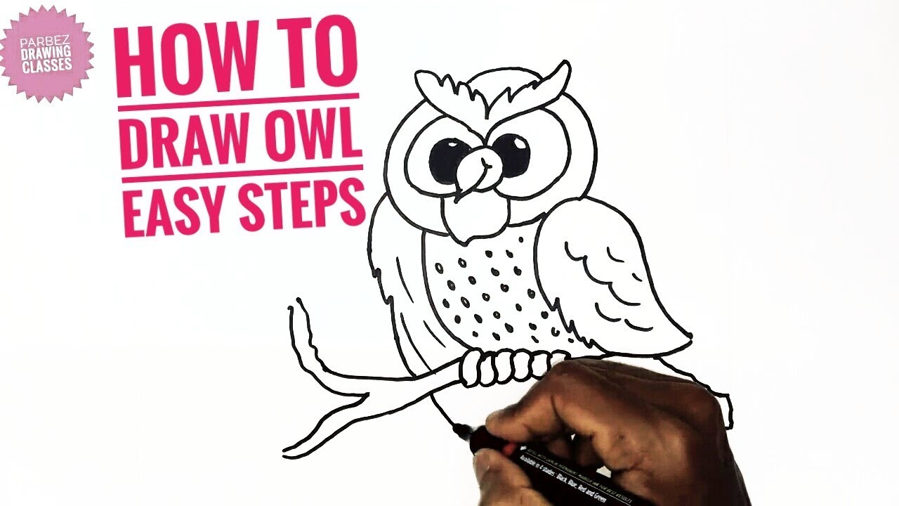 1280x720 how to draw an owl on a branch - Owl On A Branch Drawing