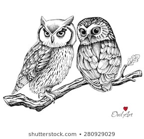 289x280 Image Two Owls On Branch Owl Drawing - Owl On Branch Drawing