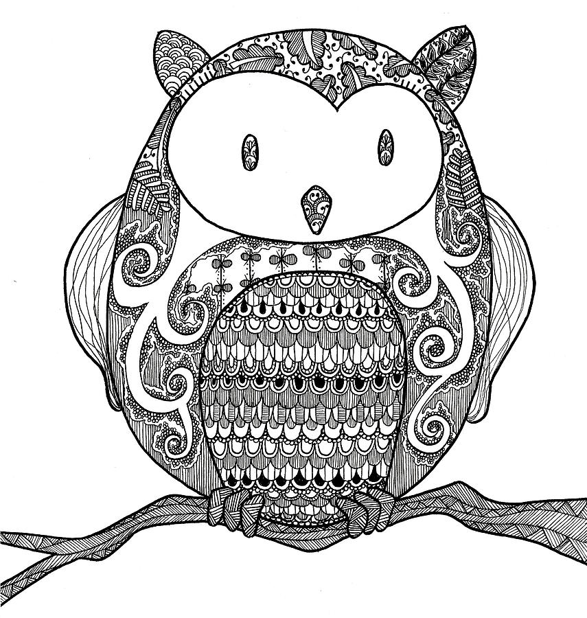 855x900 Owl On Branch Drawing - Owl On Branch Drawing
