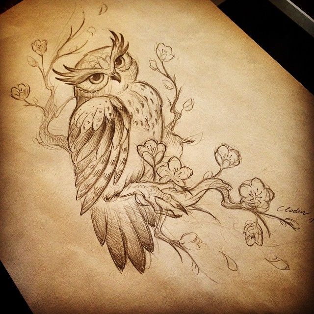 640x640 Sketches Owl Tattoo - Owl On Branch Drawing