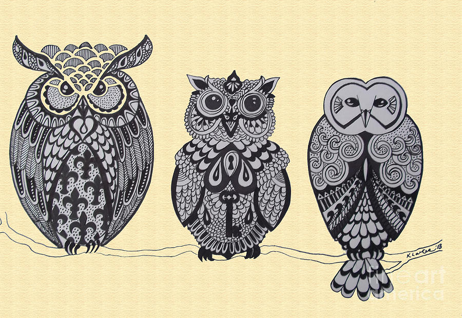 900x620 Three Owls On A Branch Drawing - Owl On Branch Drawing