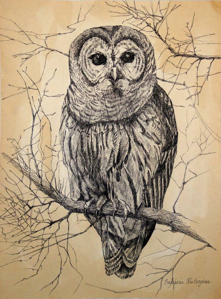 770x1042 Owl Drawing - Owl On Branch Drawing