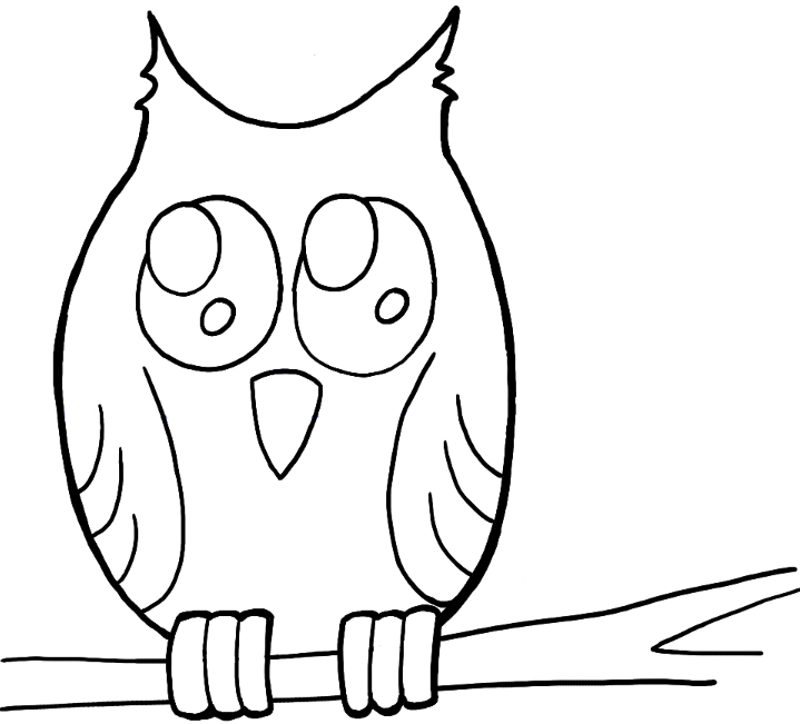 719x651 How To Draw Owl On Branch Easy Drawing Tutorial For Kids How - Owl On Branch Drawing