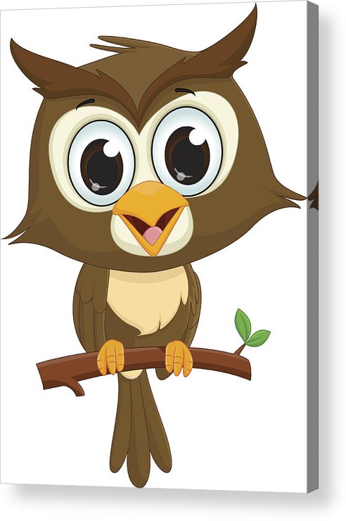 Owl On Tree Branch Drawing At Explore Collection