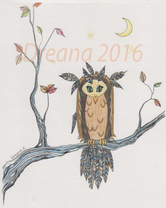 570x713 huge collection of 'owl on tree branch drawing' download more - Owl On Tree Branch Drawing