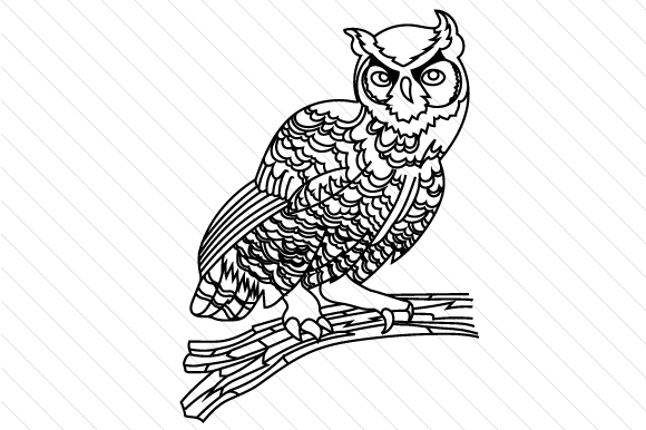 580x386 owl on tree branch - Owl On Tree Branch Drawing