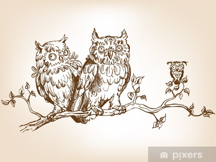 700x525 three hand drawn funny owls, sitting on tree branch sticker - Owl On Tree Branch Drawing