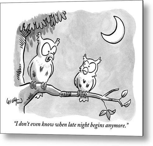 493x471 two owls sit on a tree branch talking to each metal print - Owl On Tree Branch Drawing