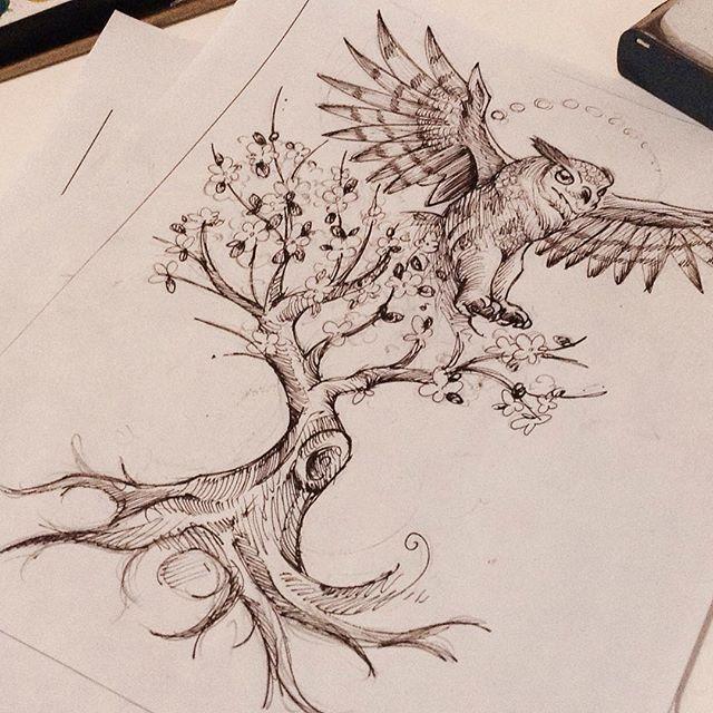 Owl On Tree Branch Drawing at PaintingValley.com | Explore collection