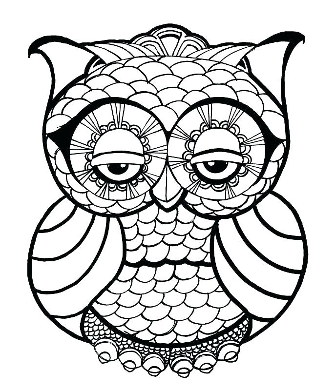 686x800 Outline Of Owl Cute Owl Blank Outline - Owl Outline Drawing