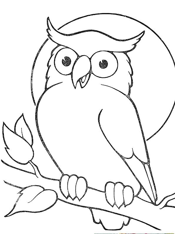 Owl Outline Drawing At Paintingvalley Com Explore Collection Of