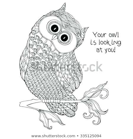 450x470 Owl Drawing Outline - Owl Outline Drawing