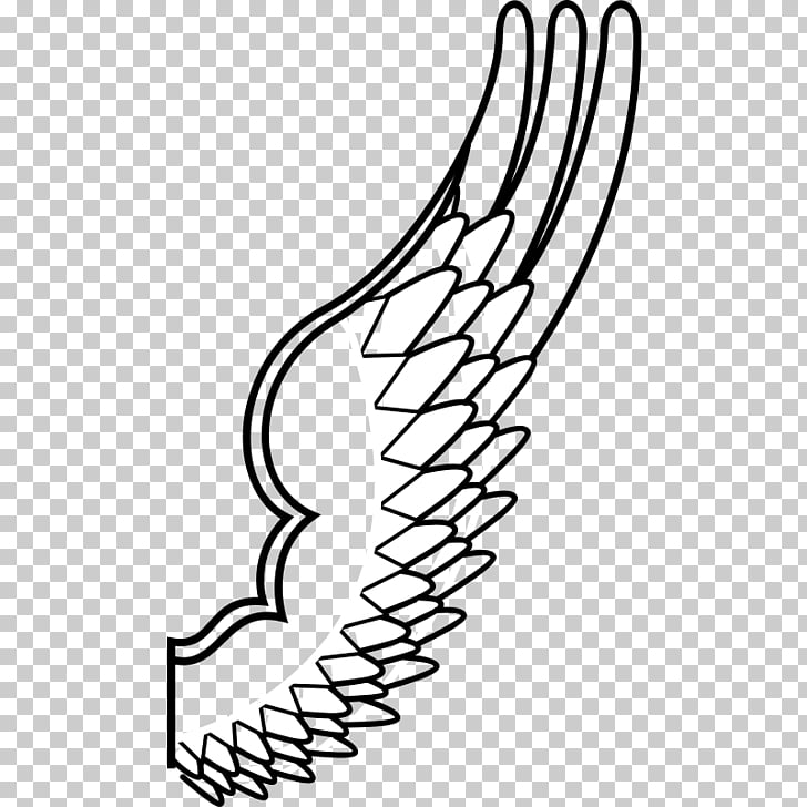 728x728 bird owl wing bird outline drawing png clipart free cliparts - Owl Outline Drawing