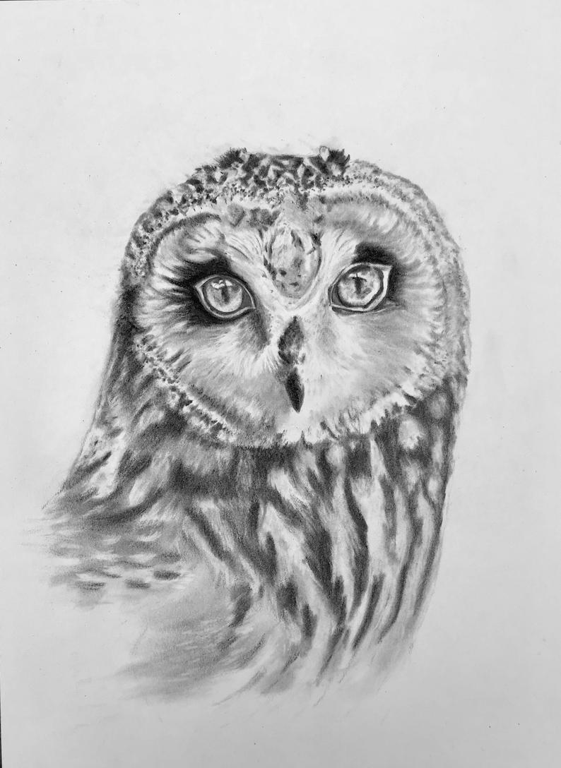 794x1088 Owl Pencil Drawing Etsy - Owl Pencil Drawing