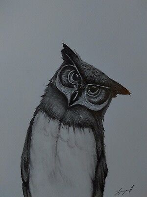 300x400 owl pencil drawing set of sketch owls original signed art - Owl Pencil Drawing