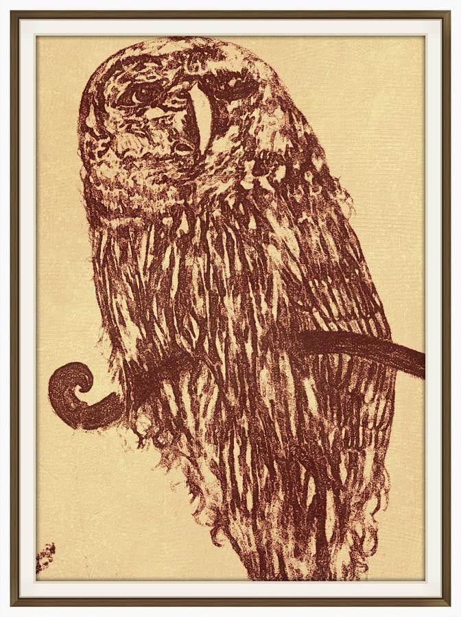 672x900 Owl Pencil Sketch Drawing - Owl Pencil Drawing