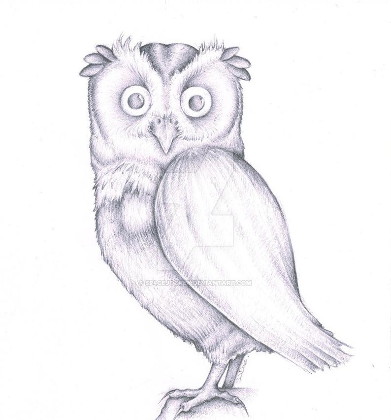 794x853 owl pencil drawing signed hq print etsy - Owl Pencil Drawing