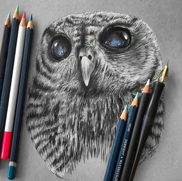 610x609 Owl Realistic Pencil Drawing - Owl Pencil Drawing