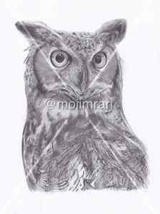 224x300 Pencil Drawing Owl - Owl Pencil Drawing