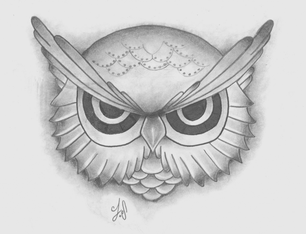 Sketch Drawing Of An Owl And Pencil Sketch Of Owl Pencil Drawings - Owl Pen...