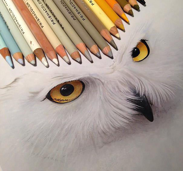 605x568 White Owl Pencil Drawing - Owl Pencil Drawing