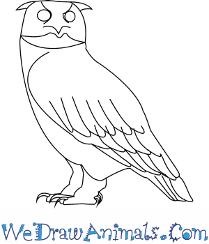 300x350 How To Draw A Eurasian Eagle Owl - Owl Pictures Drawing