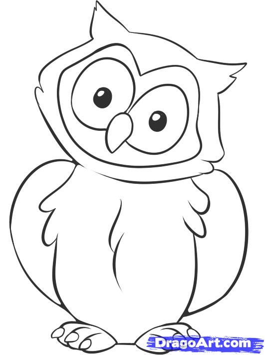 531x711 How To Draw A Owl, Step - Owl Pictures Drawing