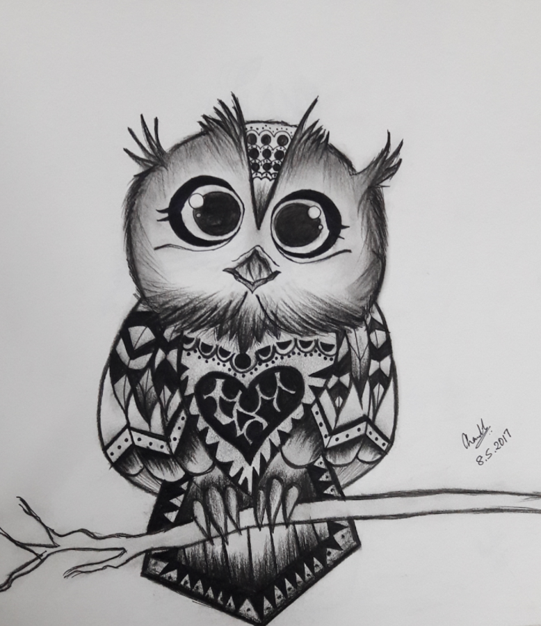 778x900 Owl Painting - Owl Pictures Drawing