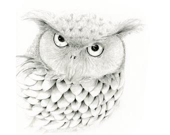 340x270 Owl Drawing Etsy - Owl Pictures Drawing