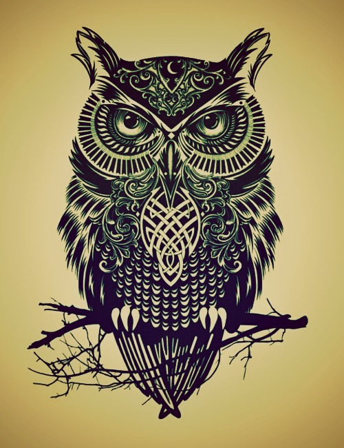 500x650 Owl Drawing Tumblr Discovered - Owl Pictures Drawing