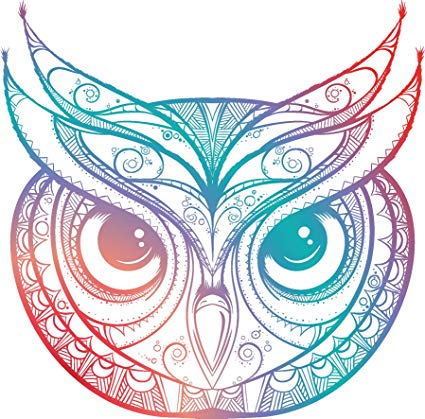 425x419 beautiful rainbow ombre henna pattern owl drawing - Owl Pictures Drawing