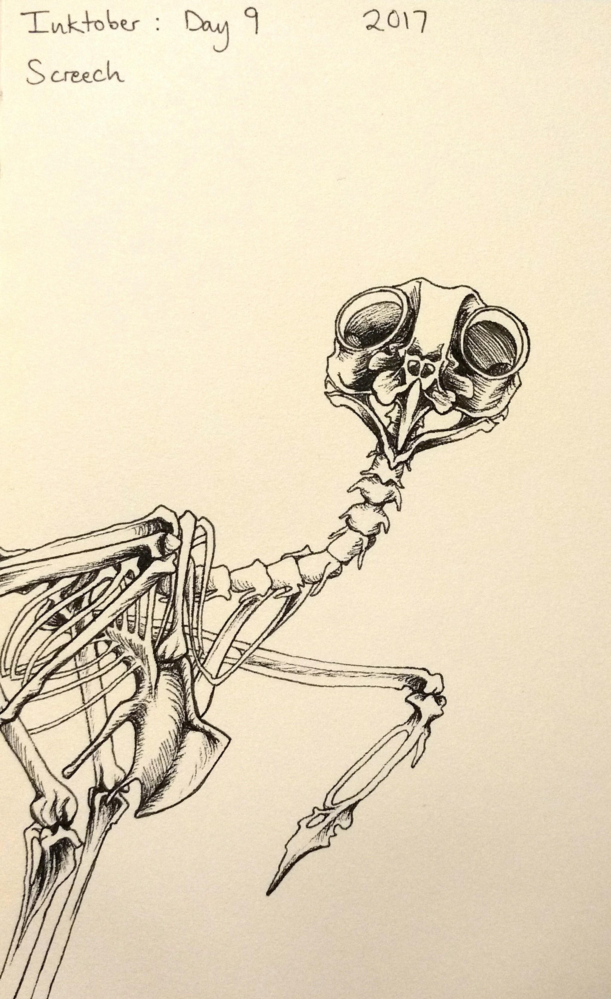 2048x3346 inktober, day screech owl skeleton screeching drawing - Owl Skeleton Drawing